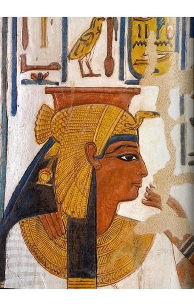 Книга King Tut. The Journey through the Underworld (9783836571463) 9783836571463 фото