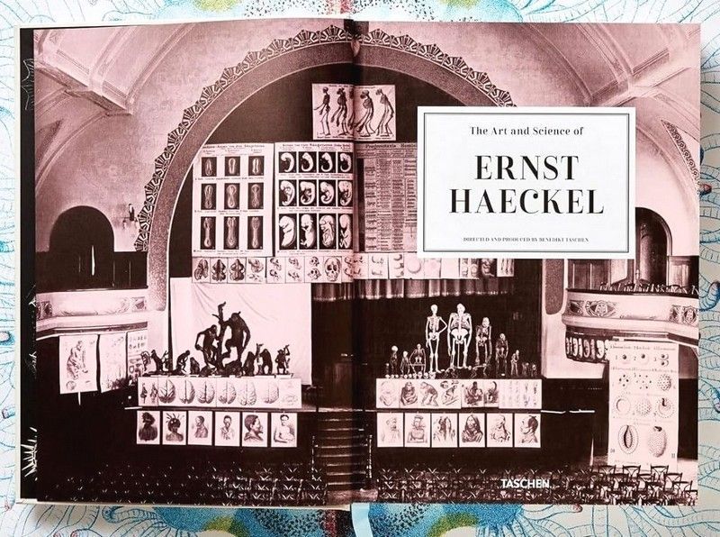Книга The Art and Science of Ernst Haeckel (9783836526463) 279530 фото