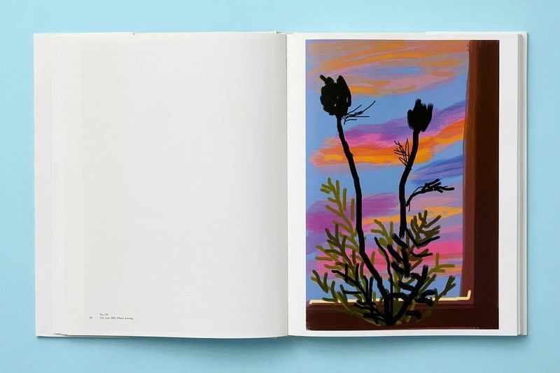 Книга XL. David Hockney. My Window (9783836593922) 279880 фото