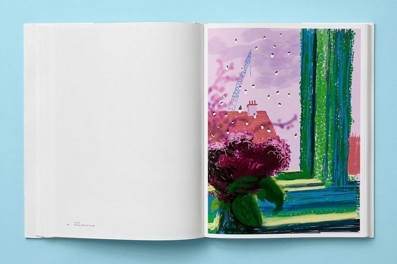 Книга XL. David Hockney. My Window (9783836593922) 279880 фото