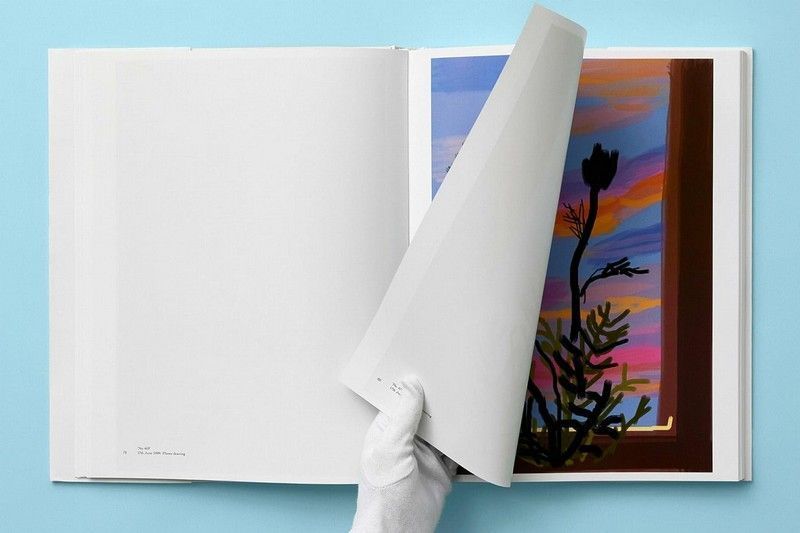 Книга XL. David Hockney. My Window (9783836593922) 279880 фото